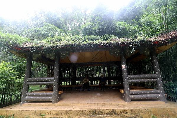 台大熱帶植物園-16.JPG