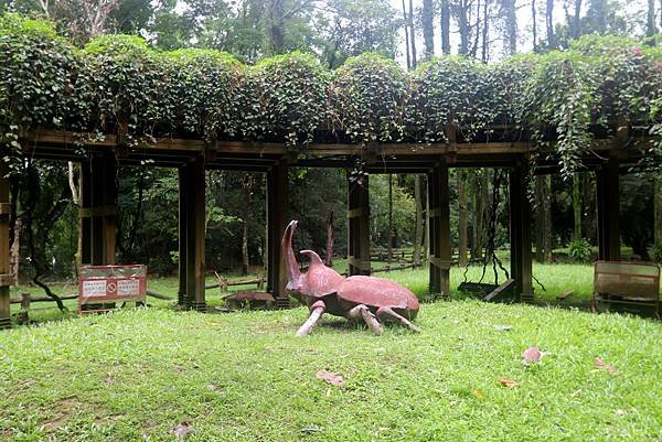 台大熱帶植物園-32.JPG