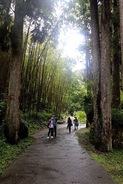 青龍瀑布之旅-7.JPG