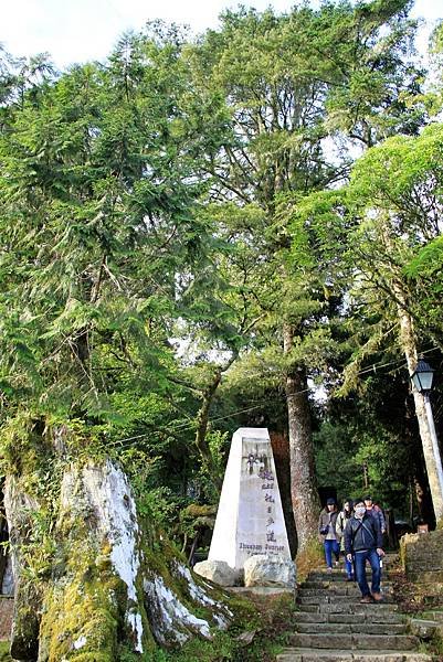 阿里山之旅-51.JPG