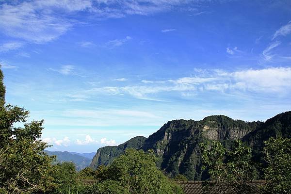 阿里山之旅-74.JPG