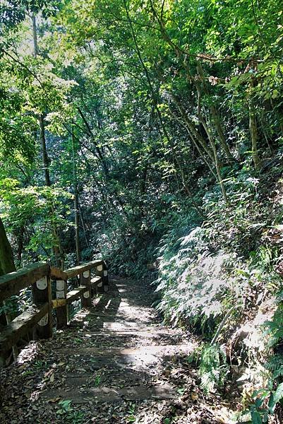 青蛙石步道-3.JPG