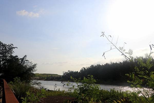 永安漁港煽海風-11.JPG