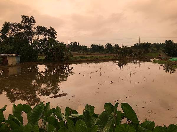  108年7月25日雨後大溪田野暮色