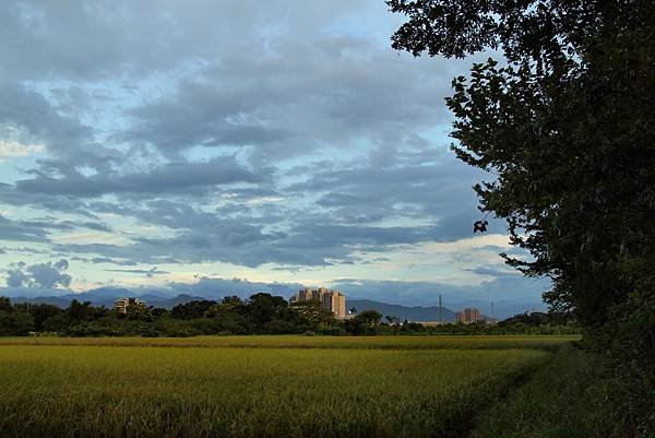 108年7月28日大溪夕陽-11.JPG