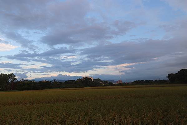 108年7月28日大溪夕陽-12.JPG