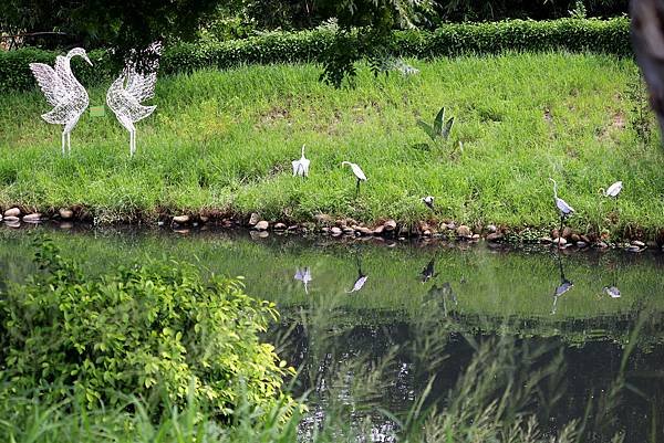 河邊鳥事-1.JPG