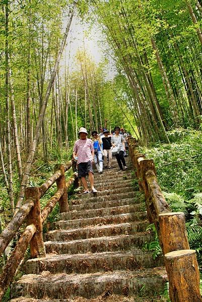 孟宗竹林踏青-16.JPG