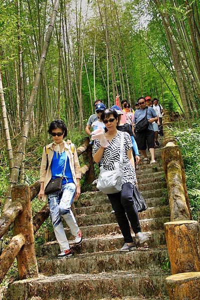 孟宗竹林踏青-18.JPG