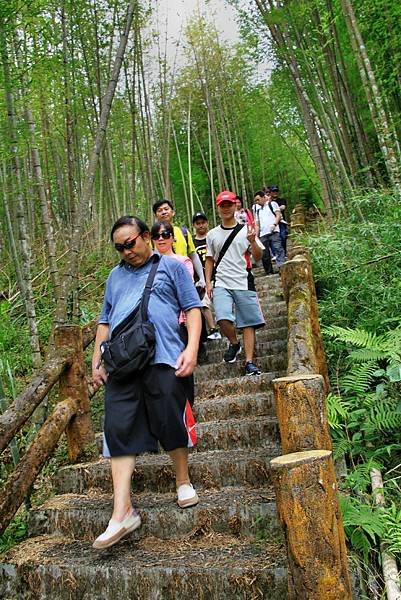 孟宗竹林踏青-20.JPG