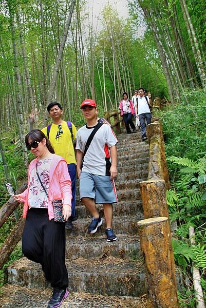 孟宗竹林踏青-21.JPG