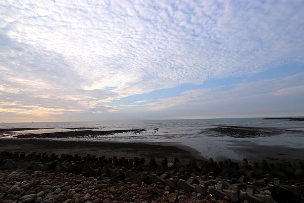 外埔海煽海風-1.JPG