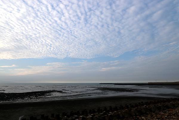 外埔海煽海風-5.JPG