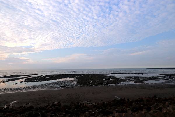 外埔海煽海風-8.JPG