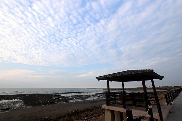 外埔海煽海風-10.JPG
