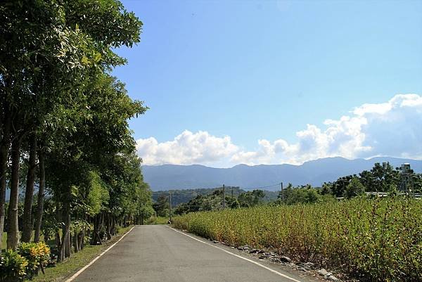 紅葉田野風光-1.JPG