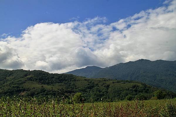 紅葉田野風光.JPG