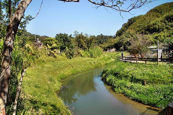 游家餐廳後花園.JPG