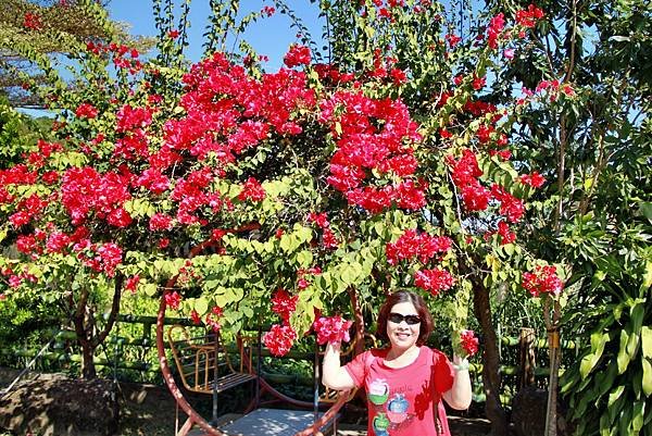 游家餐廳後花園-10.JPG