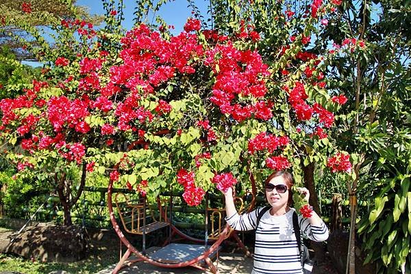 游家餐廳後花園-9.JPG