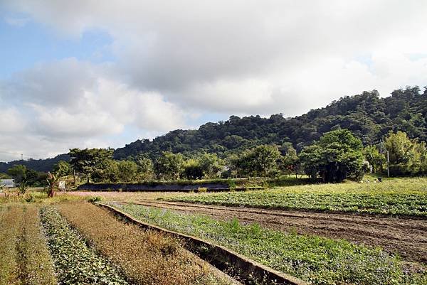 大溪義和農場之旅-20.JPG