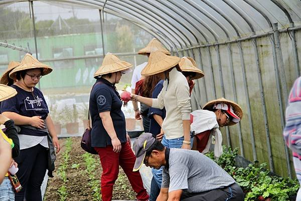 大溪義和農場之旅-28.JPG