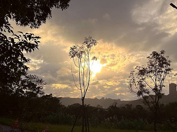 大溪區月眉人工濕地夕陽餘暉-113年11月22日大溪半日遊