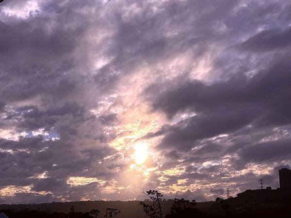 大溪區月眉人工濕地夕陽餘暉-113年11月22日大溪半日遊