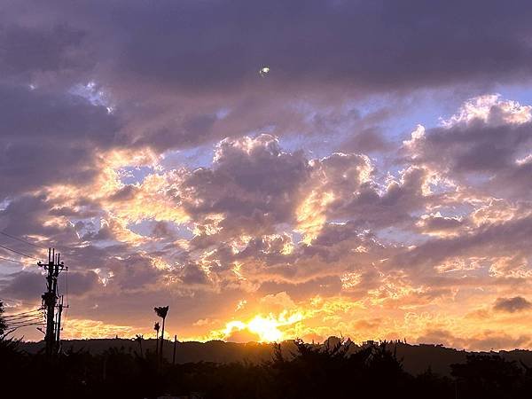 大溪區月眉人工濕地夕陽餘暉-113年11月22日大溪半日遊