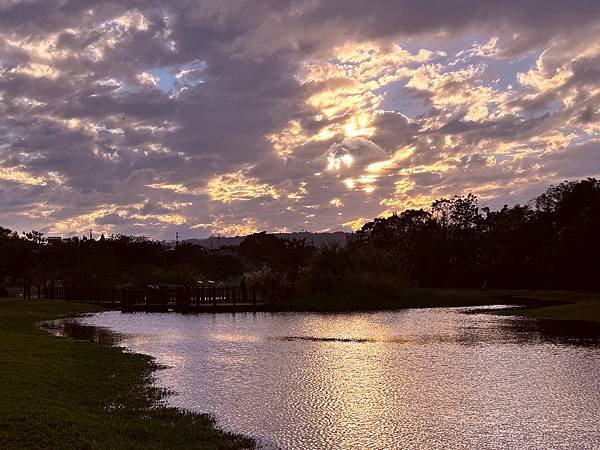 大溪區月眉人工濕地夕陽餘暉-113年11月22日大溪半日遊