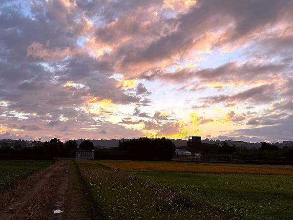 大溪區月眉人工濕地夕陽餘暉-113年11月22日大溪半日遊