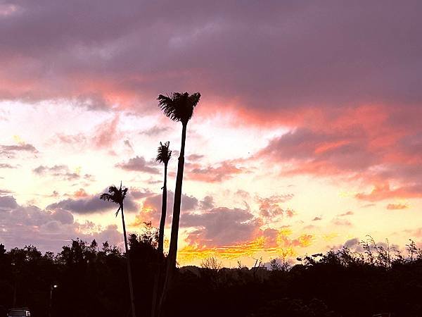 大溪區月眉人工濕地夕陽餘暉-113年11月22日大溪半日遊