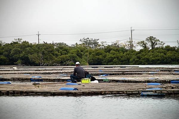 四草湖中湖之旅-4.JPG