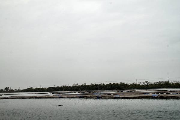 四草湖中湖之旅-6.JPG