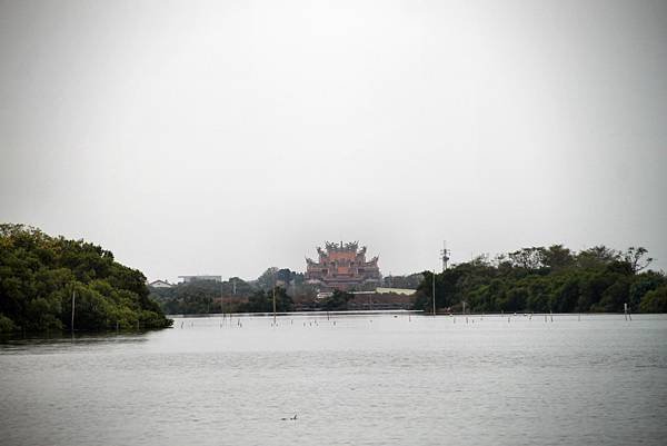 四草湖中湖之旅-20.JPG