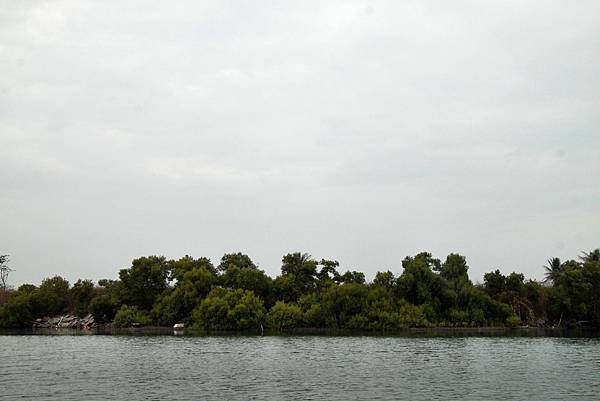 四草湖中湖之旅-22.JPG