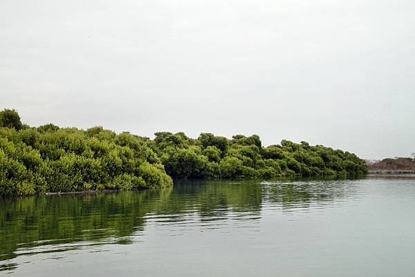 四草湖中湖之旅-27.JPG