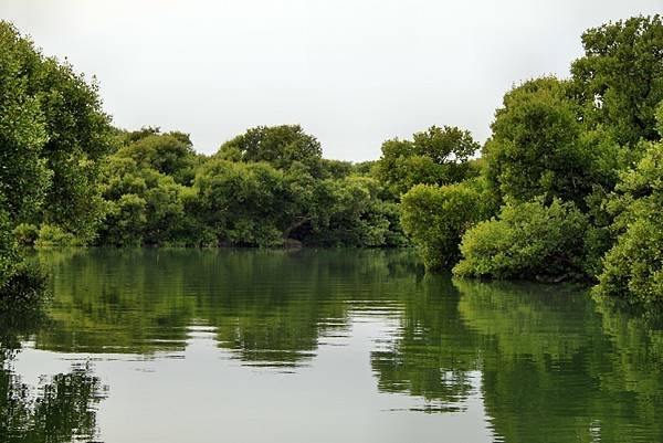 四草湖中湖之旅-30.JPG