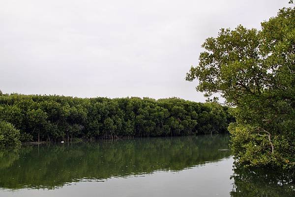 四草湖中湖之旅-33.JPG