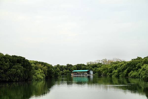 四草湖中湖之旅-35.JPG