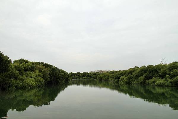 四草湖中湖之旅-37.JPG