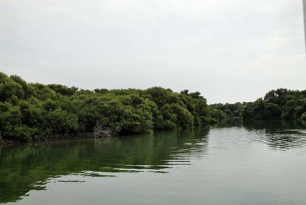四草湖中湖之旅-38.JPG