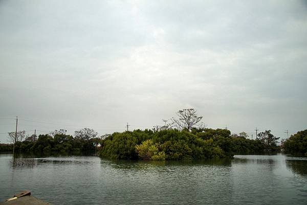 四草湖中湖之旅-40.JPG