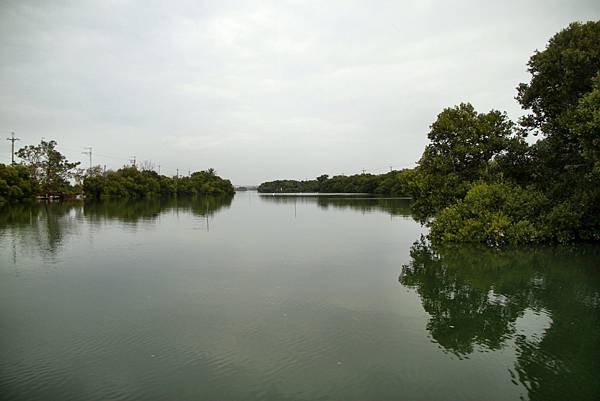 四草湖中湖之旅-42.JPG