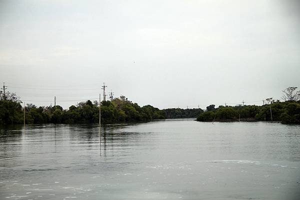 四草湖中湖之旅-45.JPG