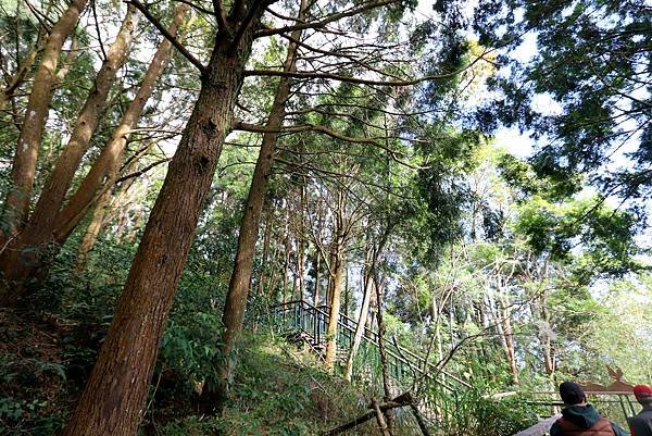 南投金龍山觀賞日出台-1.JPG