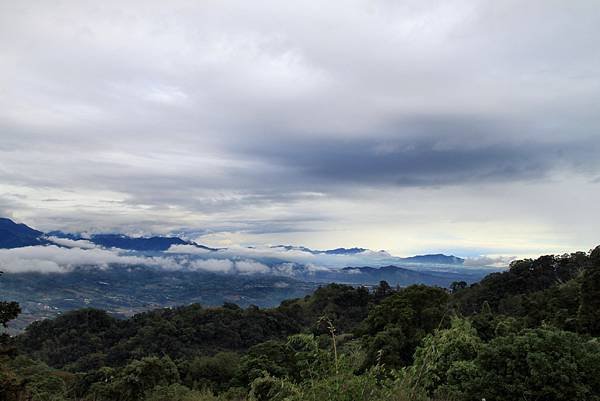 三義大湖山林之美-39.JPG