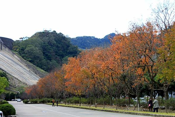 石門水庫之旅-5.jpg