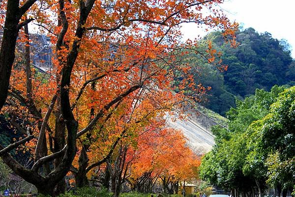 石門水庫之旅-10.jpg