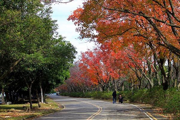 石門水庫之旅-19.jpg